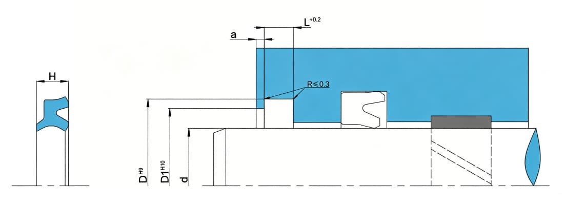 Double lip double acting wiper seal